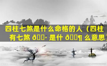 四柱七煞是什么命格的人（四柱有七煞 🌷 是什 🐶 么意思）